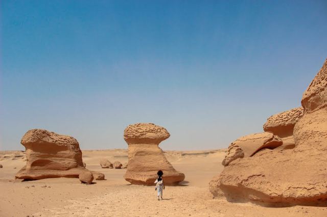 Fayoum: The Perfect Weekend Getaway from Cairo