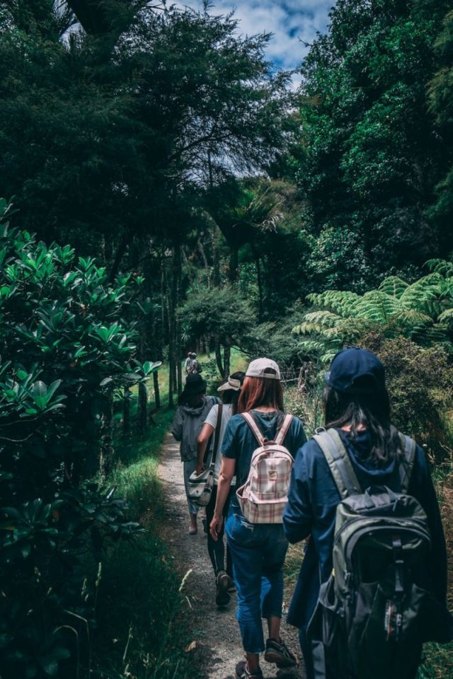 Hiking: A Perfect Activity for Nature Lovers and Adventure Seekers