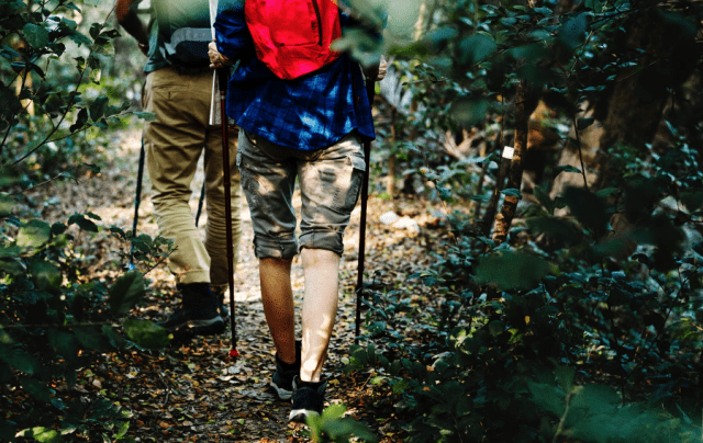 Hiking: A Perfect Activity for Nature Lovers and Adventure Seekers